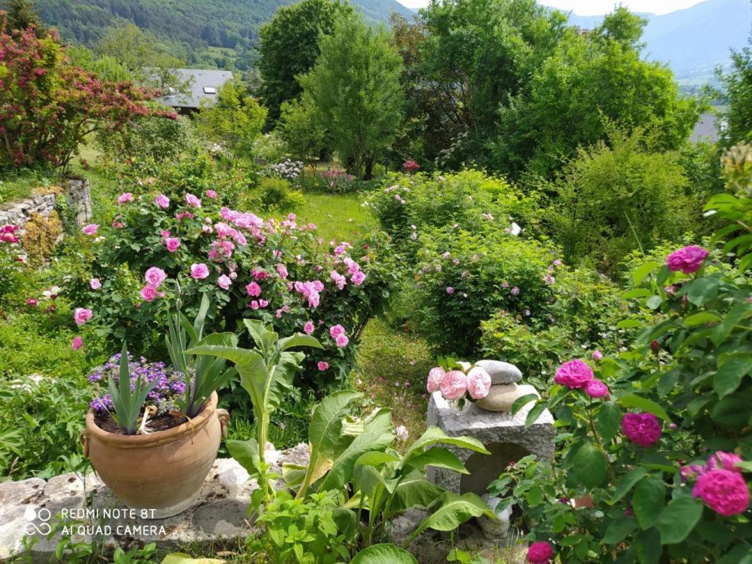 Studio Au Pied De La Montagne Et Vue Imprenable Saint-Alban (Rhone-Alps) Exterior foto